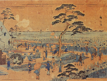 Woodblock print by Hiroshige, depicting the Kotaka-en hanashobu display near Tokyo.